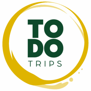 Logo Todo Trips
